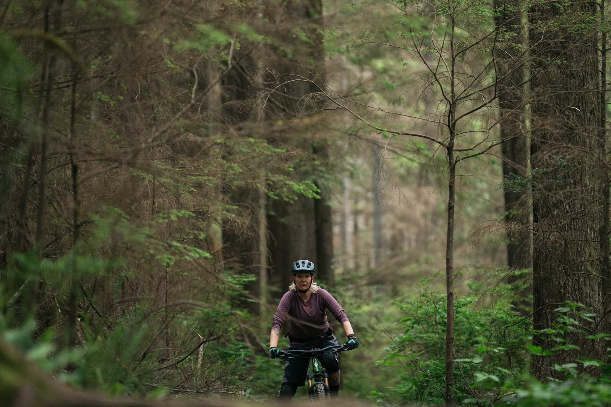 Norco Bicycles Fluid FS 1, Grøn 4 Norco Bicycles Fluid FS 1, Grøn - Billede 2