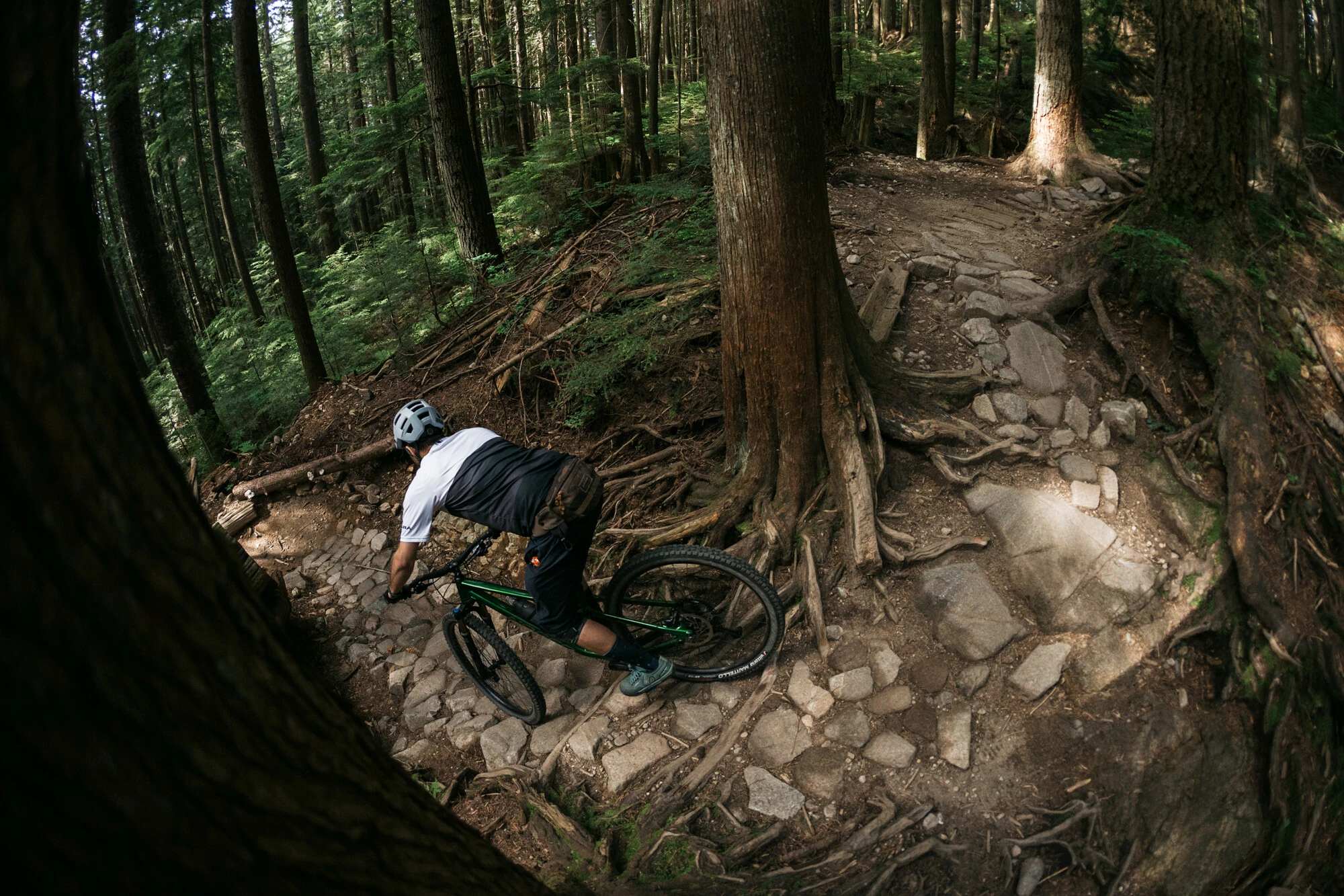 Norco Bicycles Fluid FS 1, Grøn 9 Norco Bicycles Fluid FS 1, Grøn - Billede 7